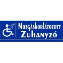 Mozgáskorlátozott zuhanyzó 30x10 cm